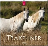 Abbildung von: TRAKEHNER - Stürtz