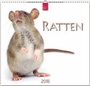 Cover: RATTEN - Stürtz
