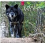 Cover: WÖLFE - Stürtz