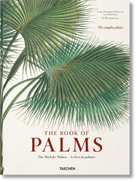 Abbildung von: Martius. The Book of Palms - TASCHEN