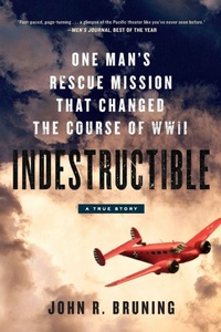 Enlarge image Cover: Indestructible - Hachette Books