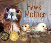 Enlarge image Cover: Hawk Mother - Web of Life Children's Books