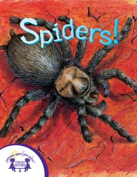 Enlarge image Cover: Know-It-Alls! Spiders - Twin Sisters IP