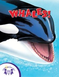 Cover: Know-It-Alls! Whales - Twin Sisters IP