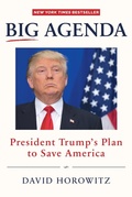 Cover: Big Agenda - Humanix Books
