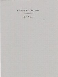 Enlarge image Cover: Schaum - Ludewig, P