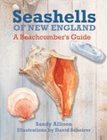 Cover: Seashells of New England - Globe Pequot Press