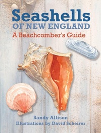 Enlarge image Cover: Seashells of New England - Globe Pequot Press