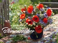 Cover: Blumenzauber 2018 - Ackermann Kunstverlag