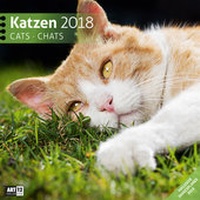 Bild vergrößern Bild: Katzen 30x30 2018 - Ackermann Kunstverlag