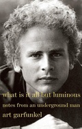 Cover: What Is It All but Luminous - Vintage