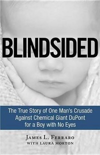 Enlarge image Cover: Blindsided - Gildan Audio