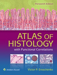 Abbildung von: Atlas of Histology with Functional Correlations - LWW