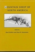Cover: Mountain Sheep of North America - University of Arizona Press
