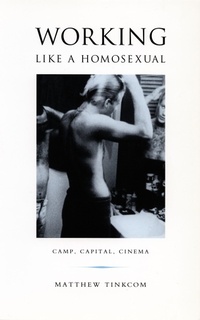 Enlarge image Cover: Working Like a Homosexual - De Gruyter