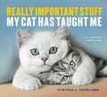 Cover: Really Important Stuff My Cat Has Taught Me - Workman Adult