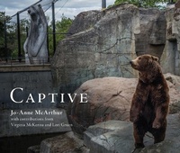 Enlarge image Cover: Captive - Lantern Books,US