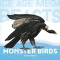 Cover: Monster Birds - Creative Paperbacks