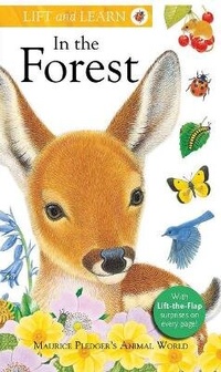 Enlarge image Cover: Lift and Learn: In the Forest - Silver Dolphin Books