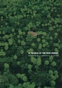 Cover: In Search of the Rain Forest - De Gruyter
