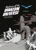 Cover: Mysteries of the Quantum Universe - Particular Books