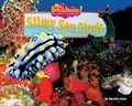 Cover: Slimy Sea Slugs - Bearport Books