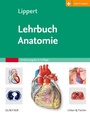 Cover: Lehrbuch Anatomie - Urban & Fischer