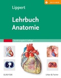 Cover: Lehrbuch Anatomie - Urban & Fischer