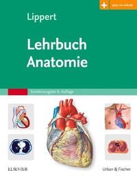 Enlarge image Cover: Lehrbuch Anatomie - Urban & Fischer