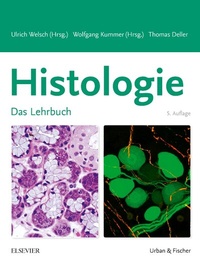 Abbildung von: Histologie - Das Lehrbuch - Urban & Fischer