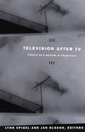Cover: Television after TV - De Gruyter