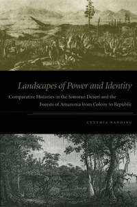 Enlarge image Cover: Landscapes of Power and Identity - De Gruyter