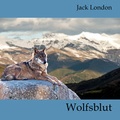 Cover: Wolfsblut - Hierax Medien