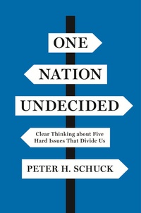 Enlarge image Cover: One Nation Undecided - Princeton University Press