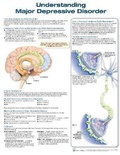 Cover: Understanding Major Depressive Disorder - Lippincott Williams and Wilkins