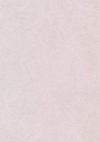 Abbildung von: Nederduytsche Poemata - Peter Lang Verlag