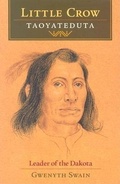 Cover: Little Crow/Taoyateduta - Borealis Books
