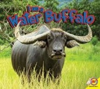 Enlarge image Cover: I Am a Water Buffalo - Av2