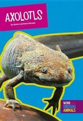 Cover: Axolotls - Amicus High Interest