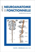 Cover: Atlas de neuroanatomie fonctionnelle - University of Ottawa Press
