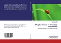 Cover: Morphometrics of Predatory Coccinellids - LAP Lambert Academic Publishing