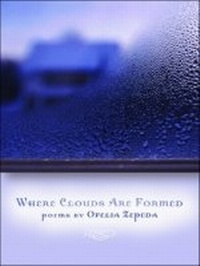 Enlarge image Cover: Where Clouds Are Formed - University of Arizona Press