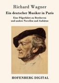 Cover: Ein deutscher Musiker in Paris - Hofenberg
