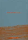 Cover: meanwhile ... - Verlag f&uuml;r Moderne Kunst