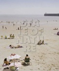 Cover: State of Nature - Hartmann Projects Verlag