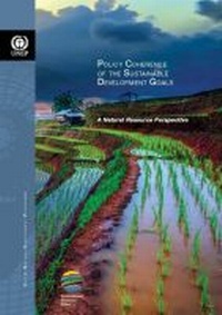 Enlarge image Cover: Policy Coherence of the Sustainable Development Goals - United Nations