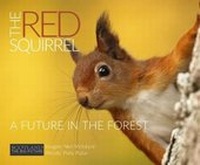 Enlarge image Cover: The Red Squirrel: A Future in the Forest - Wild Media Foundation