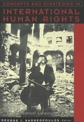 Cover: Concepts and Strategies in International Human Rights - Peter Lang Verlag