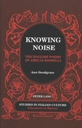 Cover: Knowing Noise - Peter Lang Verlag