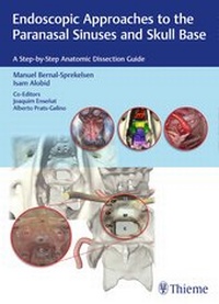 Abbildung von: Endoscopic Approaches to the Paranasal Sinuses and Skull Base - Thieme